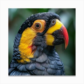 Colorful Tropical Bird Canvas Print