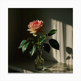 Rose In A Vase Canvas Print