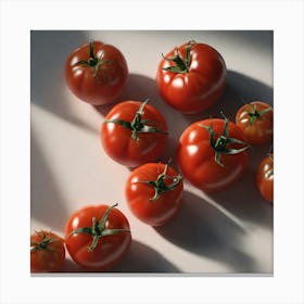 Ripe Tomatoes 11 Canvas Print