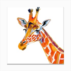 Giraffe 09 1 Canvas Print