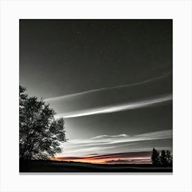 Night Sky Canvas Print