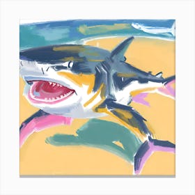 Tiger Shark 07 Canvas Print