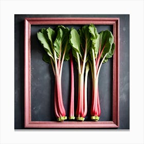 Rhubarb 56 Canvas Print