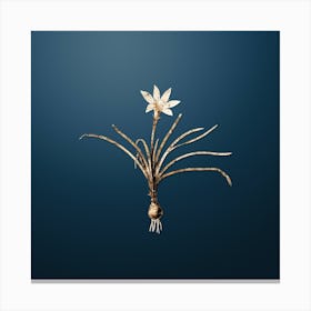 Gold Botanical Rain Lily on Dusk Blue n.4788 Canvas Print