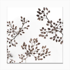 Dried Flowers In Winter White Snow Square Canvas Print