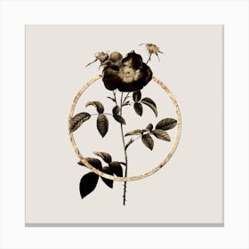 Gold Ring Stapelia Rose Bloom Glitter Botanical Illustration n.0258 Canvas Print