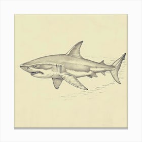Smallscale Cookiecutter Shark Vintage Illustration 4 Canvas Print