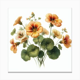 Flowers of Nasturtium 3 Canvas Print