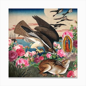 Hawk And A Rabbit Canvas Print