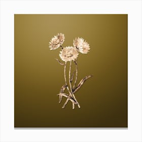 Gold Botanical Helichrysum Flower Branch on Dune Yellow Canvas Print