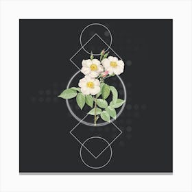 Vintage Rose of Castile Botanical with Geometric Line Motif and Dot Pattern n.0349 Canvas Print