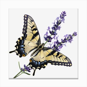 Butterfly On Lavender 1 Canvas Print