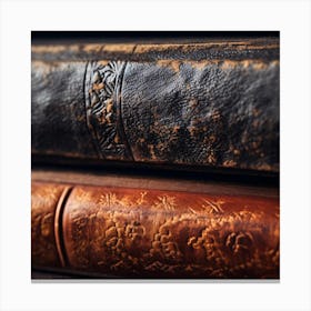 Old Books 24 Canvas Print