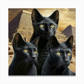 Three Black Cats In Front Of Pyramids Canvas Print