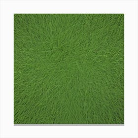 Grass Flat Surface For Background Use (20) Canvas Print