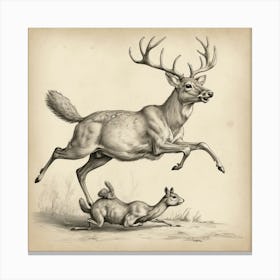 Deer And A Doe Canvas Print