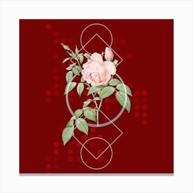 Vintage Fragrant Rosebush Botanical with Geometric Line Motif and Dot Pattern n.0254 Canvas Print
