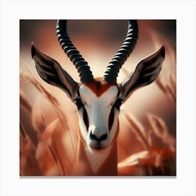 Antelope Canvas Print