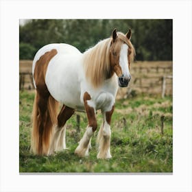 Horse In A Field 6 Canvas Print