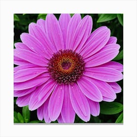 Daisy Canvas Print