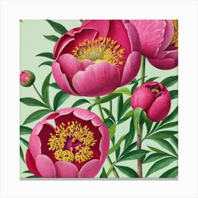 Pink Peonies Canvas Print