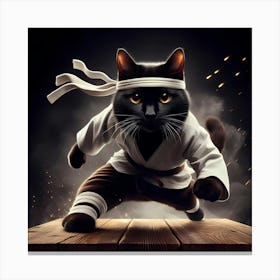 Karate Cat 7 Canvas Print