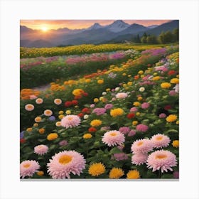 Chrysanthemums Canvas Print