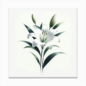 White Lily 3 Canvas Print