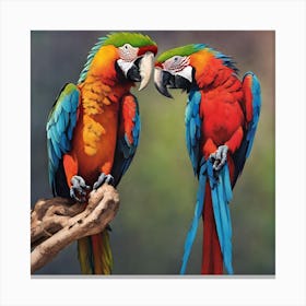 Two Macaw Parrots Canvas Print