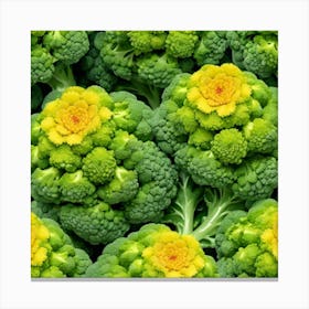 Florets Of Broccoli 10 Canvas Print