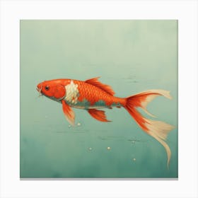 Koi Fish 1 Canvas Print