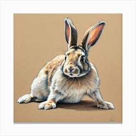 Rabbit 9 Canvas Print