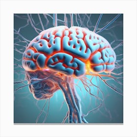 Human Brain 31 Canvas Print