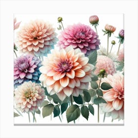 Dahlias 1 Canvas Print