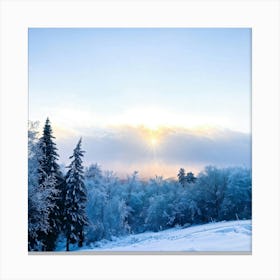 Abstract Landscape Showcasing The Battle Between Winters Chill And The New Years Promise Sun Rays (6) Canvas Print