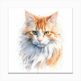 Ragamuffin Cat Portrait 3 Canvas Print