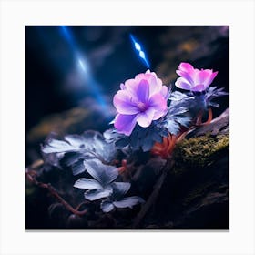 up close on a black rock in a mystical fairytale forest, alice in wonderland, mountain dew, fantasy, mystical forest, fairytale, beautiful, flower, purple pink and blue tones, dark yet enticing, Nikon Z8 1 Canvas Print
