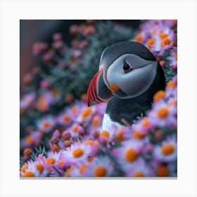 Puffin 2 Canvas Print