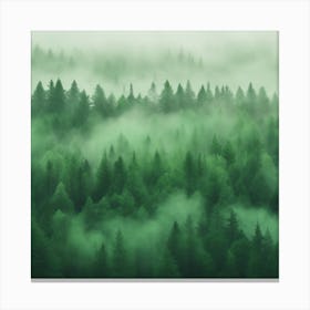 Forest In Mist Canvas Print