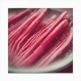 Close Up Of Rhubarb 1 Canvas Print