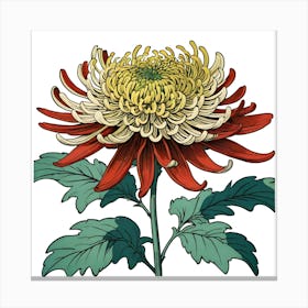 Chrysanthemum 13 Canvas Print