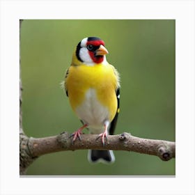 Colorful Goldfinch Perched On A Tree Branch 2 Canvas Print