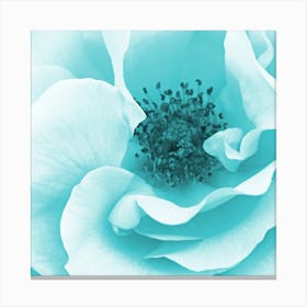 Blue Rose Canvas Print