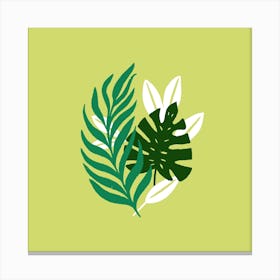 Lime Leaves Square Canvas Print