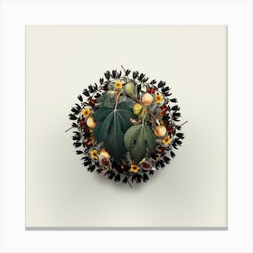 Vintage Fig Fruit Wreath on Ivory White n.2061 Canvas Print