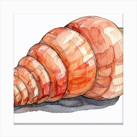 Watercolor Seashell Canvas Print