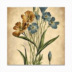 Flax3 Floral Botanical Vintage Poster Flower Canvas Print