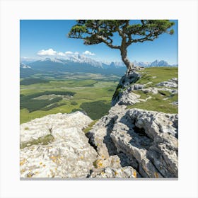 Lone Tree On A Cliff Canvas Print