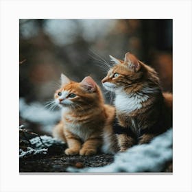 Two Kittens In The Snow Canvas Print