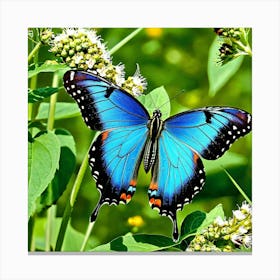 Blue Butterfly 5 Canvas Print
